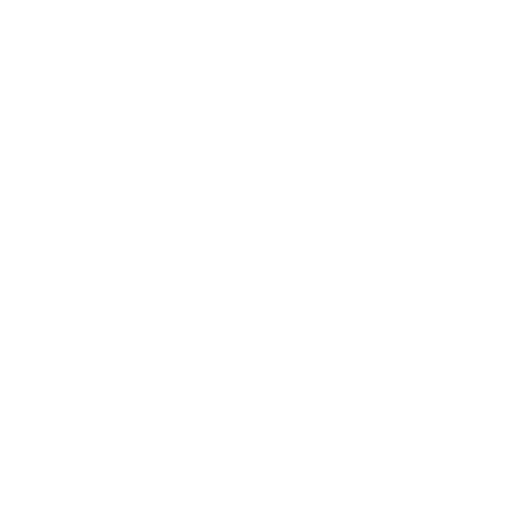 Dollar Coin icon