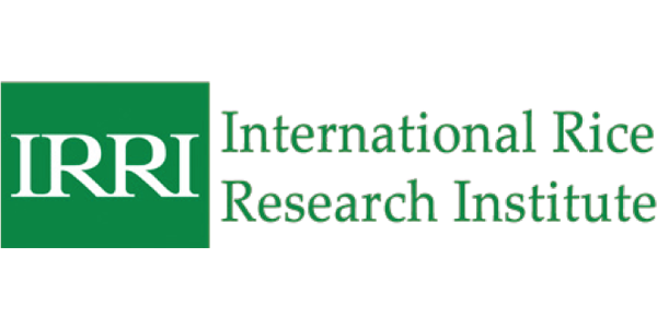 International Rice Research Institute logo