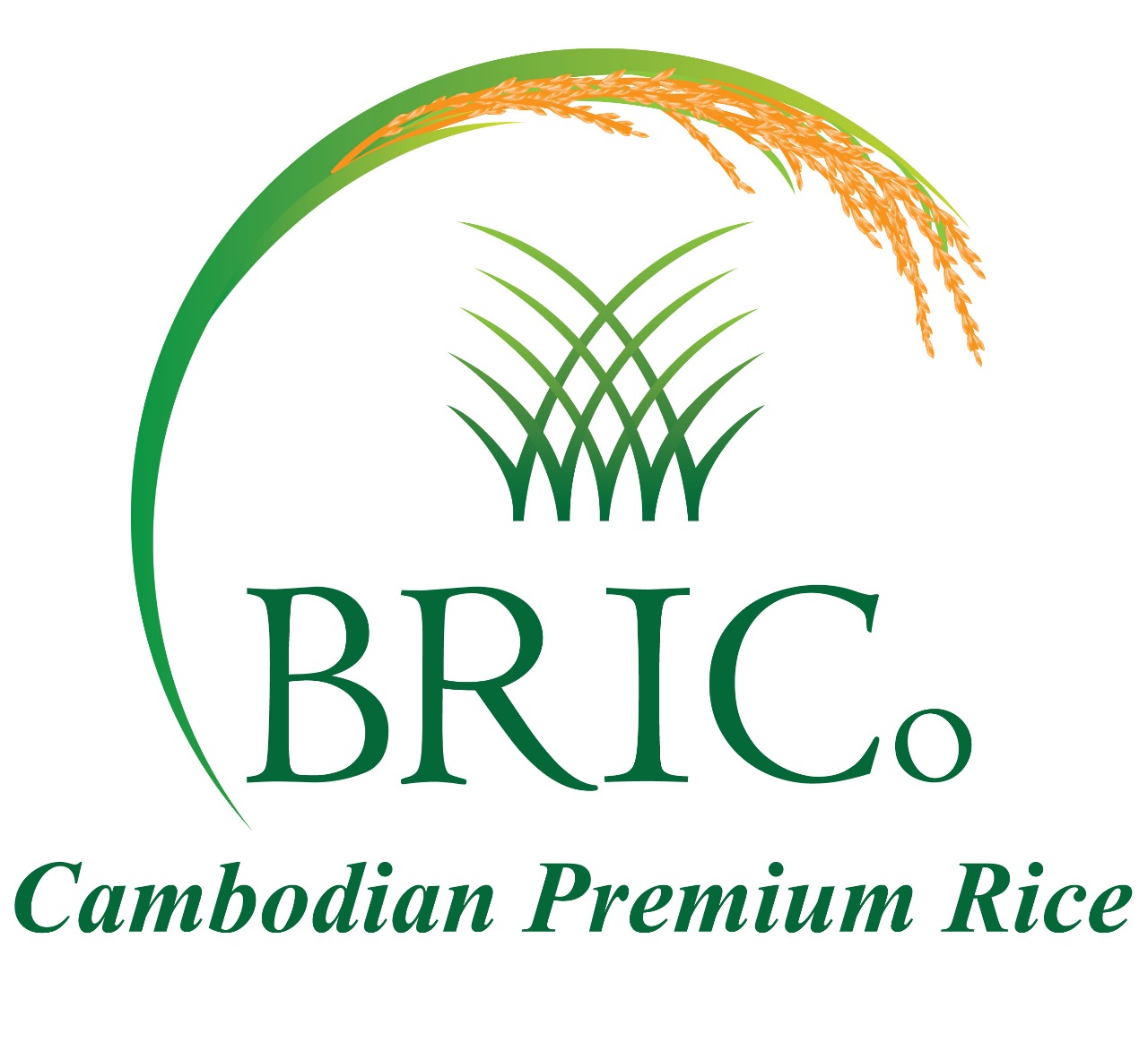 brico